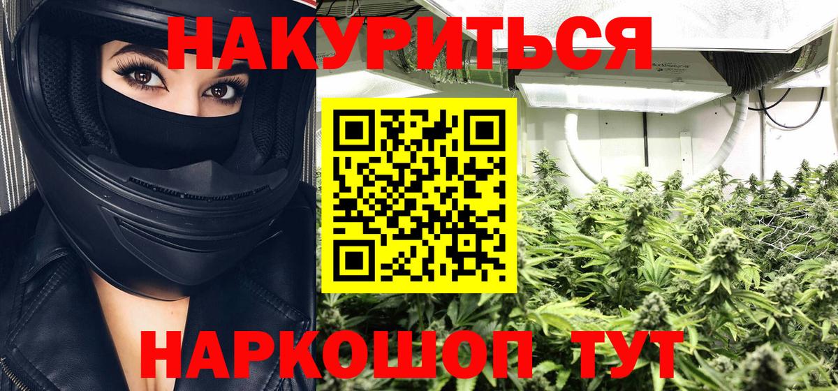 Каннабис MAZAR  Канабис тримм  Вход с VPN  МАРИХУАНА сатива  Глазов  Бошки марихуана план 